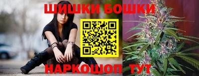 индика Беслан