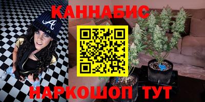 индика Беслан