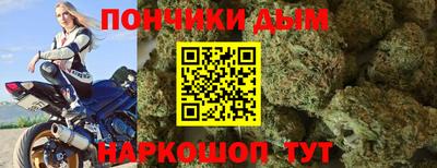 индика Беслан