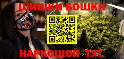 индика Беслан